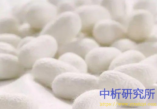 桑蚕丝检测