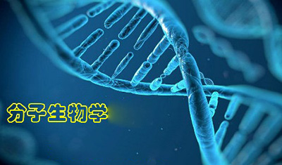 分子生物学检测