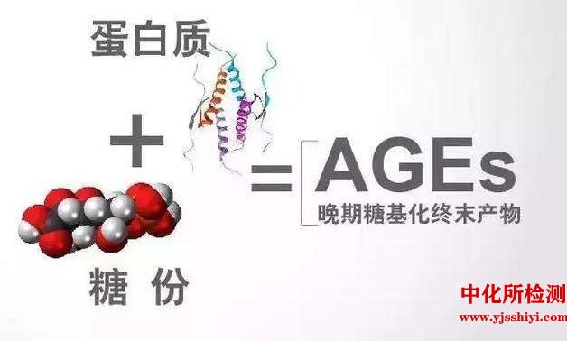 糖基化终产物检测