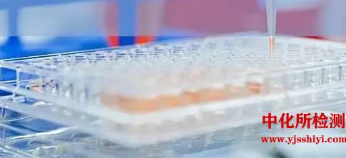 生物学评价试验