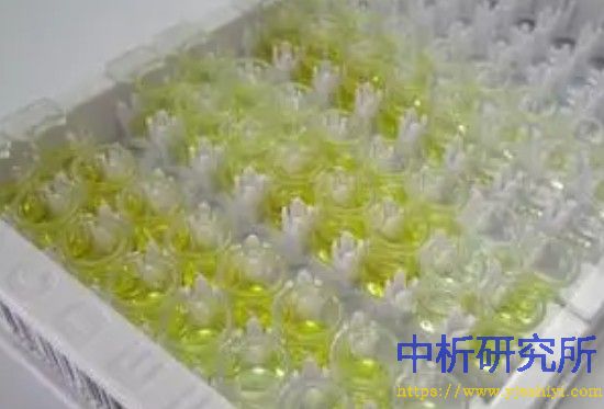 酶联免疫测试