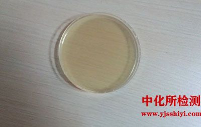 琼脂平板挖孔试验