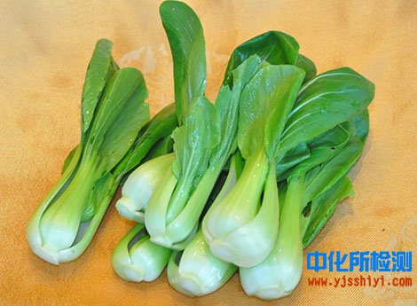 油菜检测
