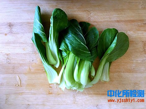 油菜检测