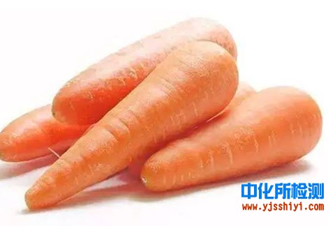 胡萝卜检测
