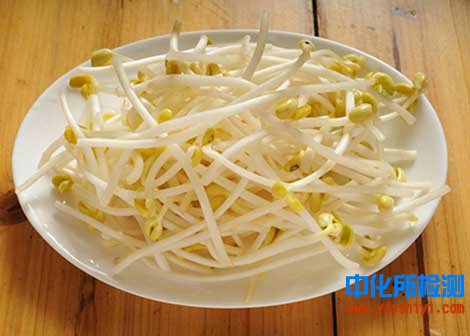 豆芽检测