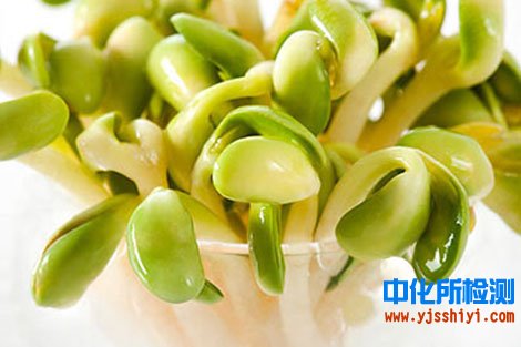 豆芽检测