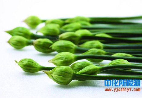 菜花检测