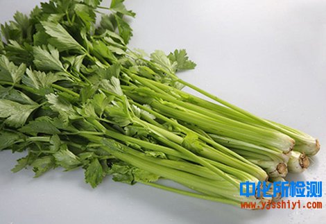 芹菜检测