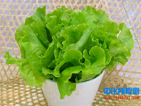 生菜检测