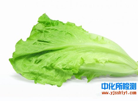 生菜检测