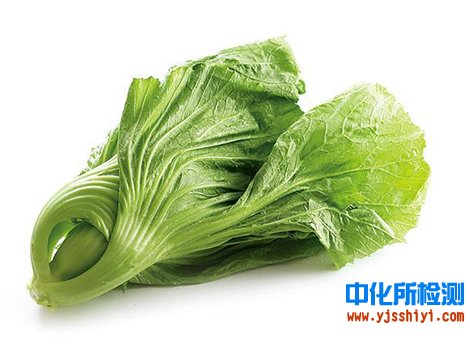 芥菜检测