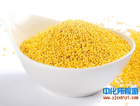 黄米检测