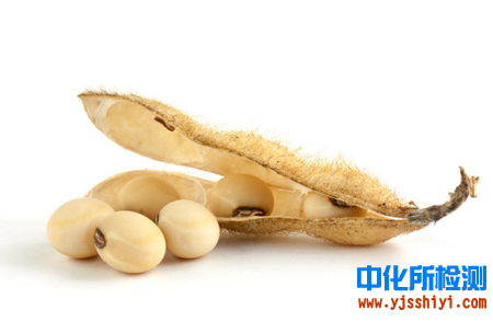 大豆检测