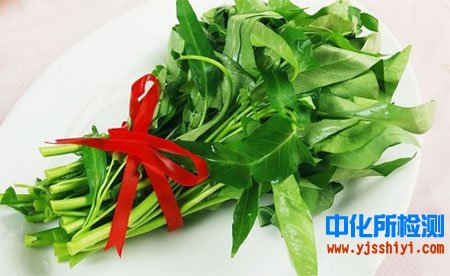 养心菜营养成分检测
