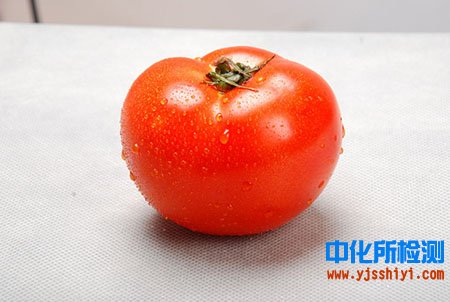 西红柿检测
