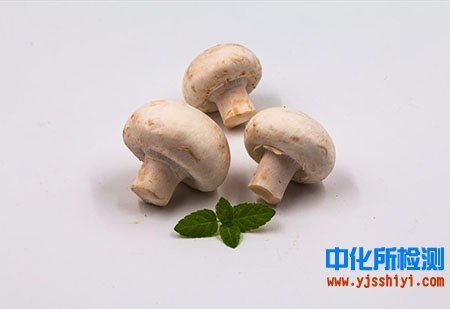 口蘑成分检测