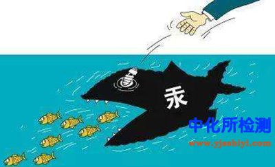 汞含量检测