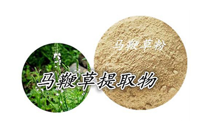 马鞭草检测