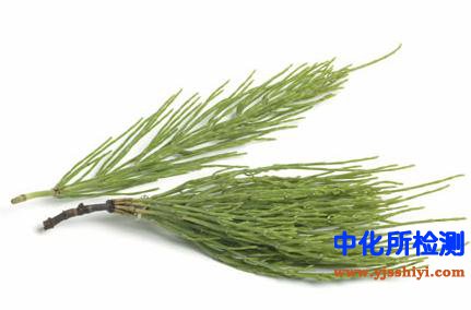 问荆检测