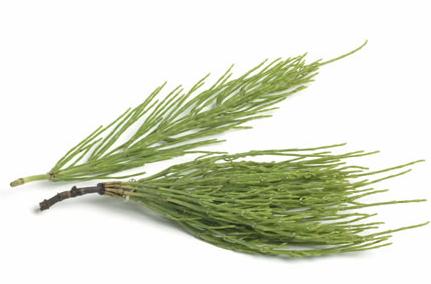 问荆检测