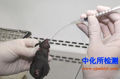 急性毒理实验