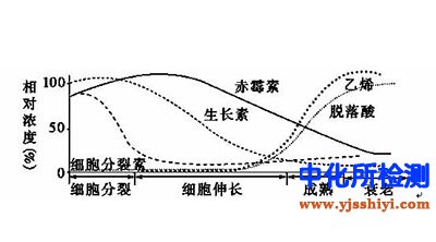 细胞分裂素检测