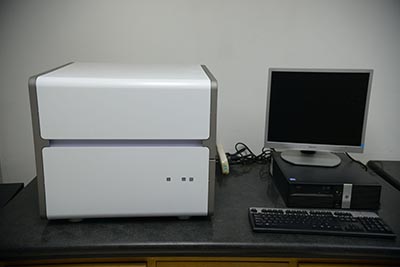 实时荧光定量PCR检测