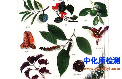 药用植物检测