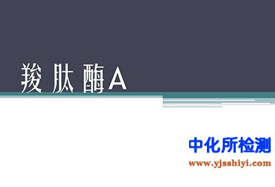 羧肽酶检测