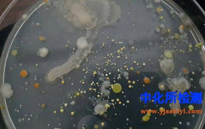 抑菌剂检测