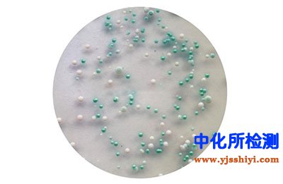 耐热大肠菌群检测